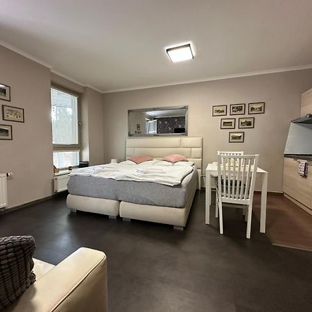 Harrachov Resident Apartments "Terrace & Chill" - High Speed Wifi, Smart Tv, Netflix, Disney Plus Buitenkant foto