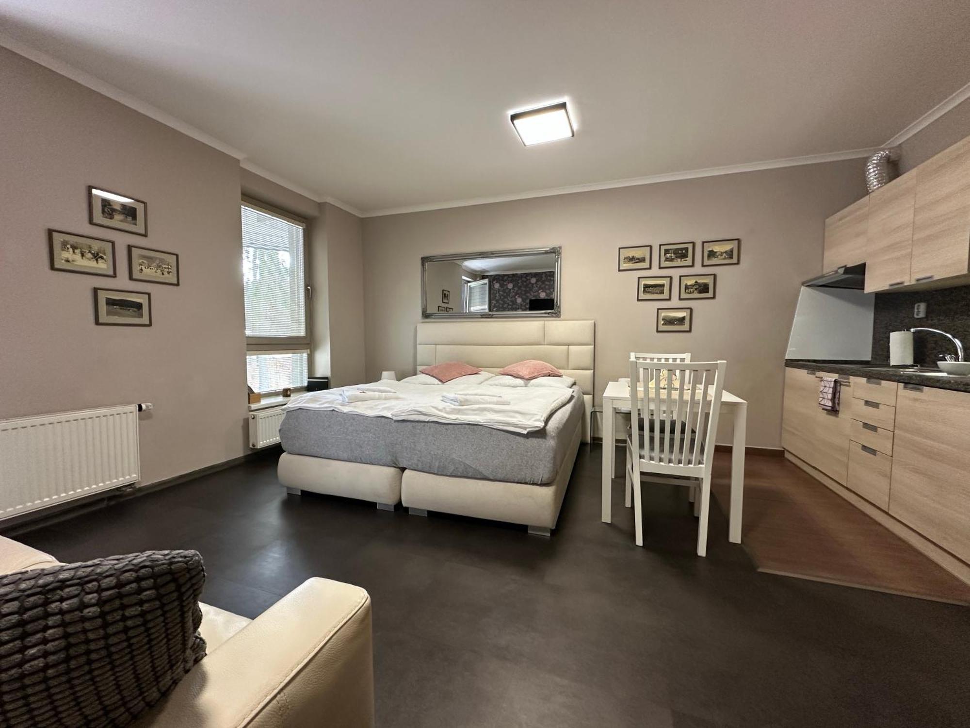 Harrachov Resident Apartments "Terrace & Chill" - High Speed Wifi, Smart Tv, Netflix, Disney Plus Buitenkant foto