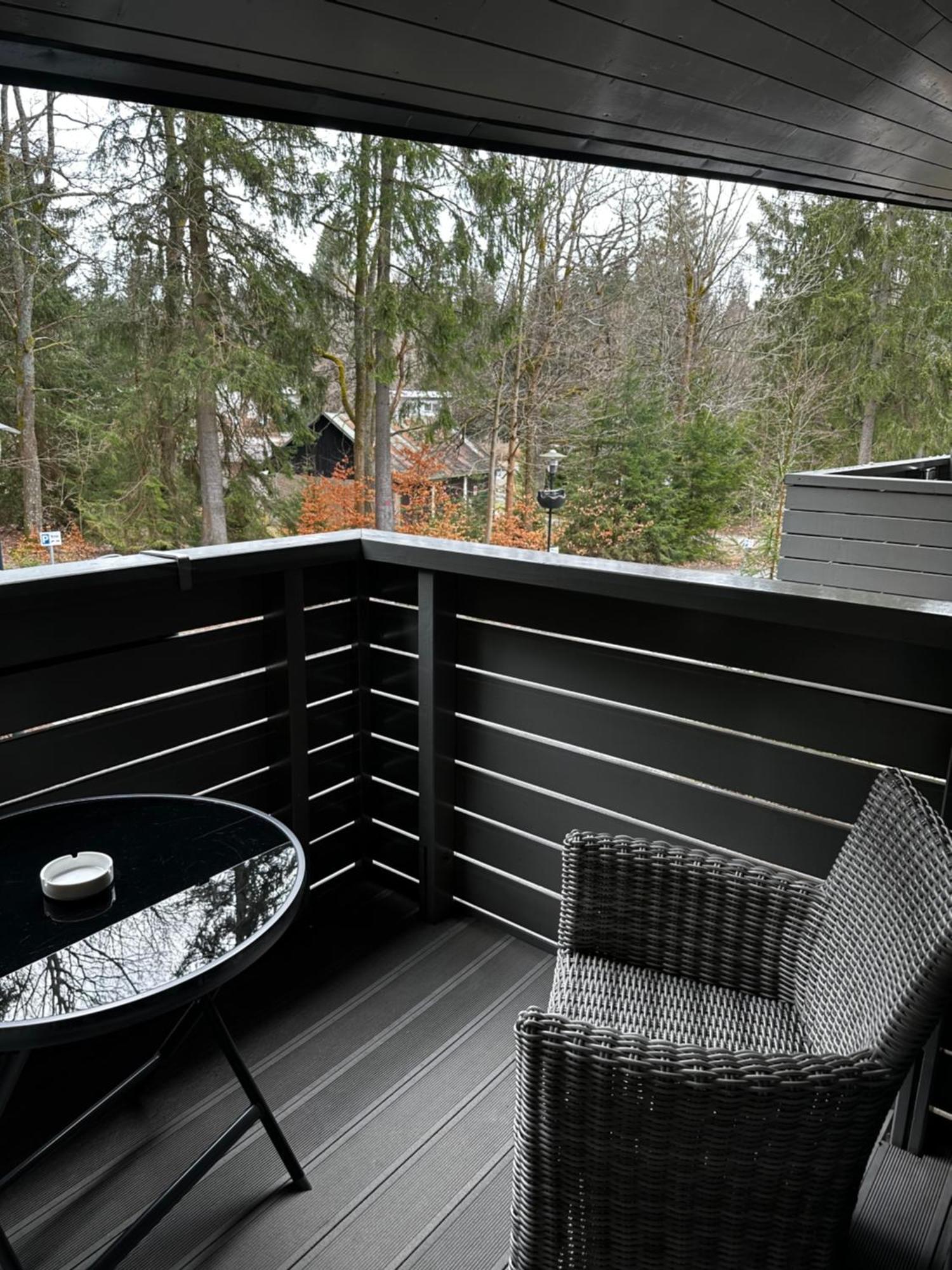 Harrachov Resident Apartments "Terrace & Chill" - High Speed Wifi, Smart Tv, Netflix, Disney Plus Buitenkant foto