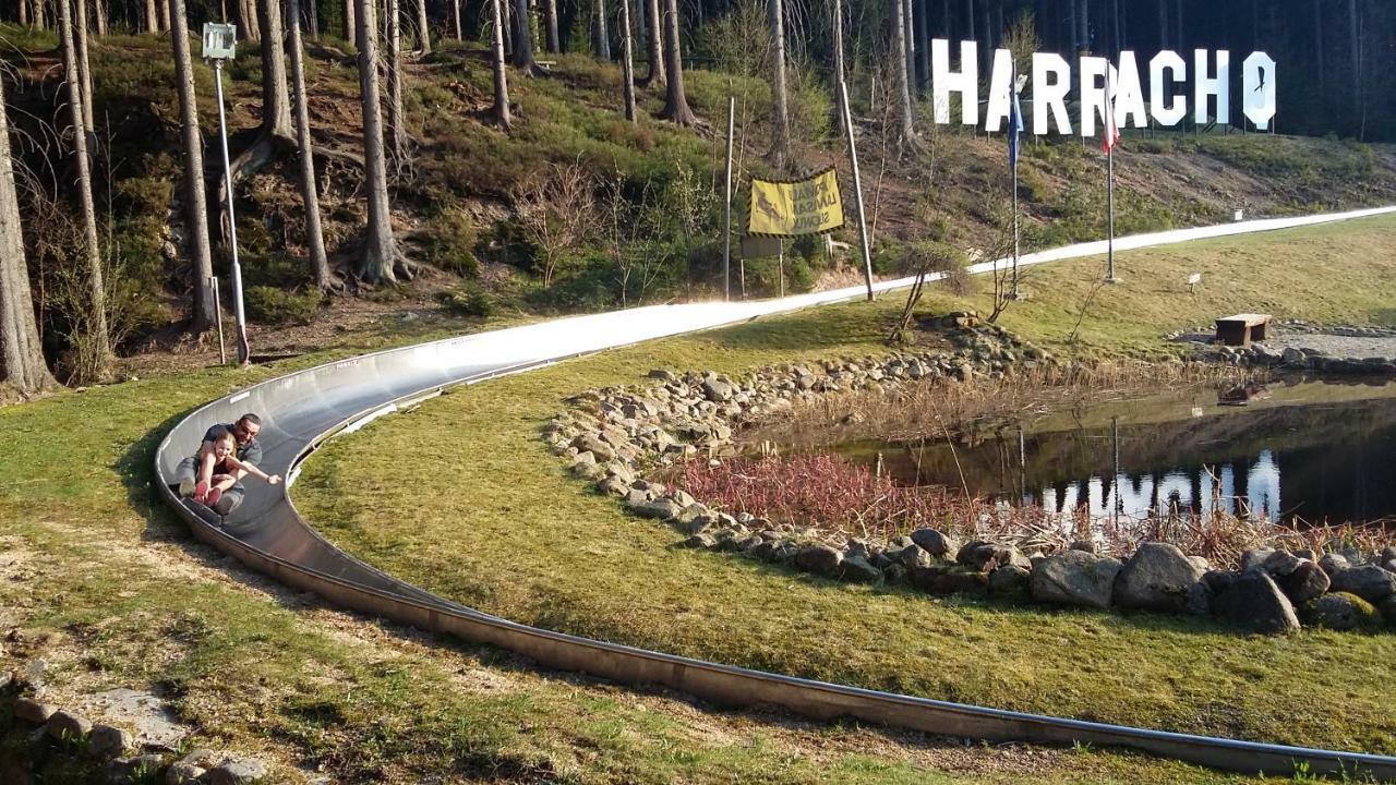 Harrachov Resident Apartments "Terrace & Chill" - High Speed Wifi, Smart Tv, Netflix, Disney Plus Buitenkant foto